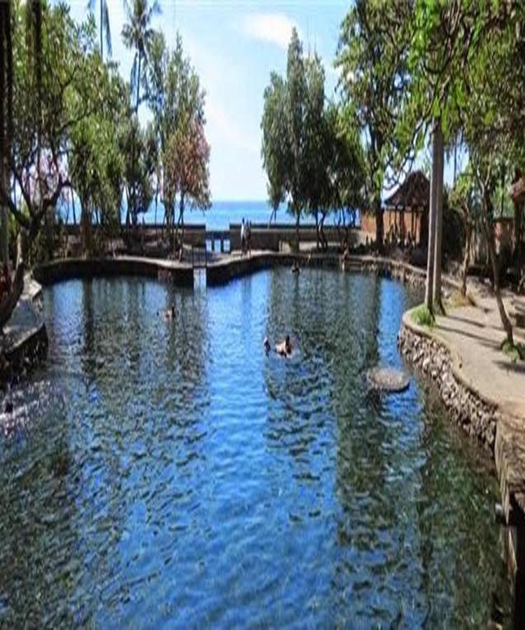 Palm Beach Villas Bali ซีงาราจา ภายนอก รูปภาพ